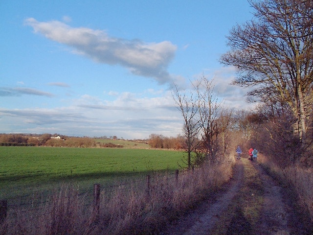 Photo "Greater Willington" by Uncredited (CC BY-SA) / Cropped from original