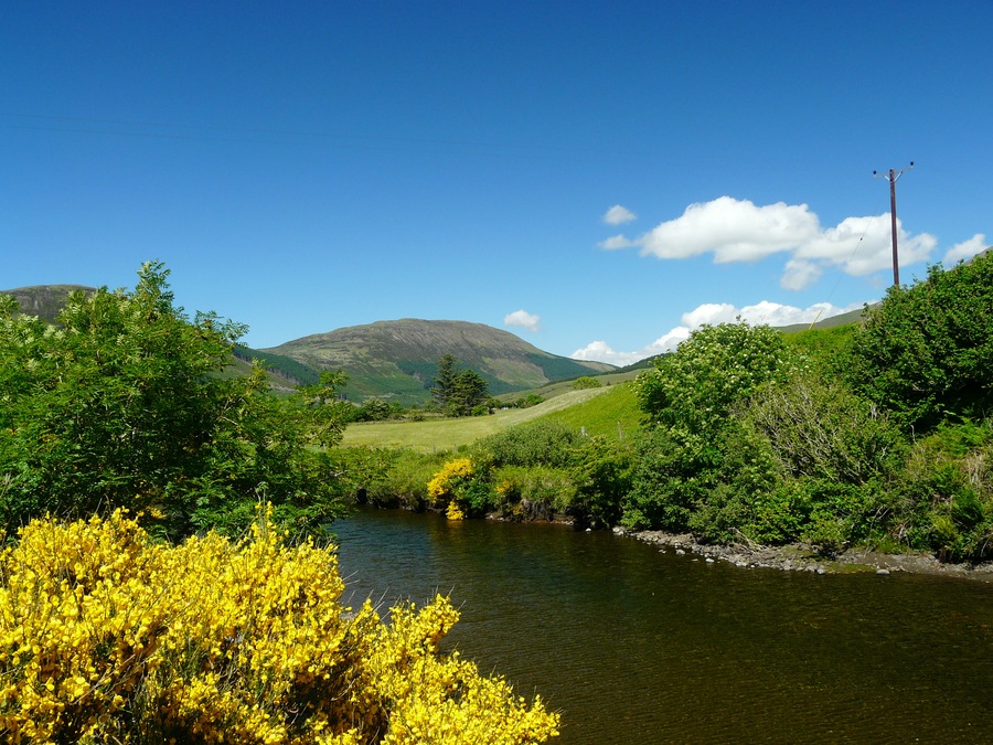 Summer Skye. 5