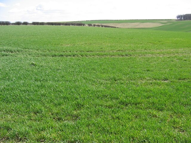 "Heslerton"-foto av Stephen Horncastle (CC BY-SA) / Urklipp från original