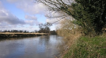River Tame. The River Tame as it flows past Elford.