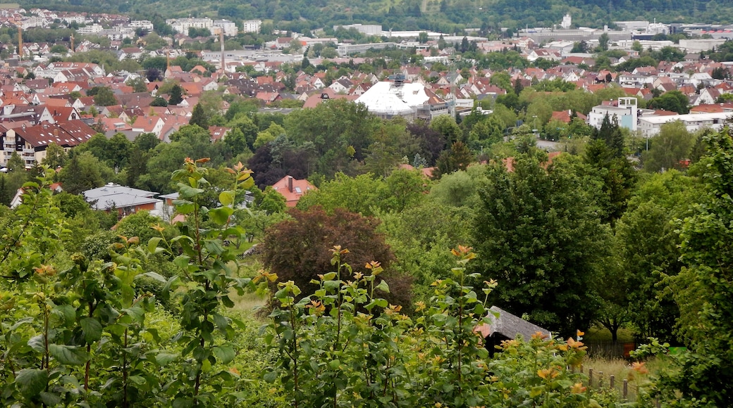Photo "Metzingen" by qwesy qwesy (CC BY) / Cropped from original