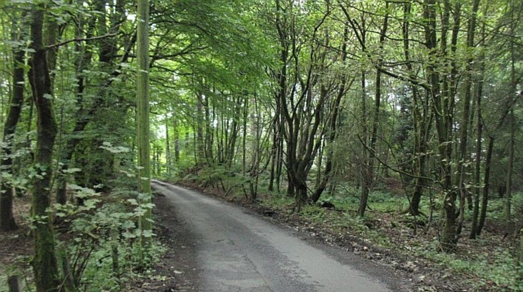 Foto "Castlecary" de Richard Webb (CC BY-SA) / Recortada de la original