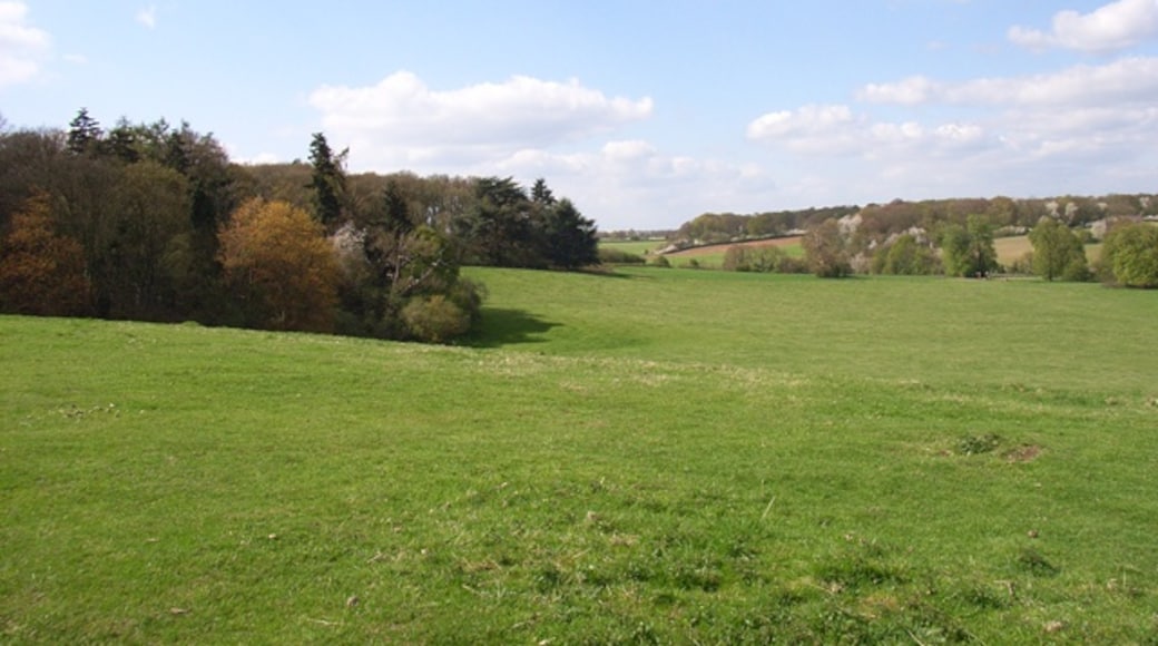 Foto ‘Gerrards Cross’ van Andrew Smith (CC BY-SA) / bijgesneden versie van origineel