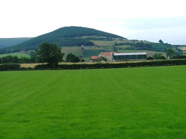 Foto “Faceby” tomada por Mick Garratt (CC BY-SA); recorte de la original