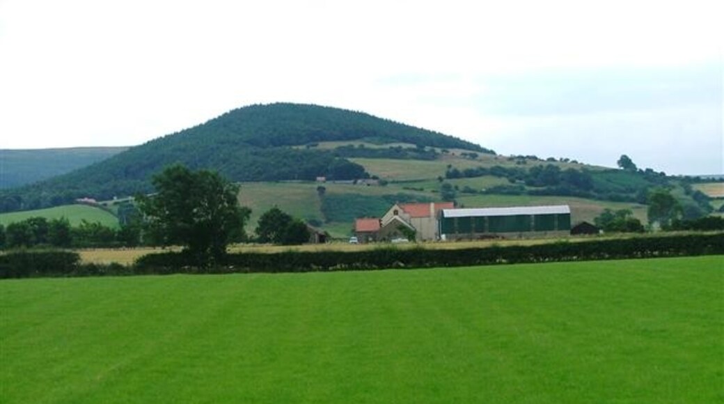 Billede "Faceby" af Mick Garratt (CC BY-SA) / beskåret fra det originale billede