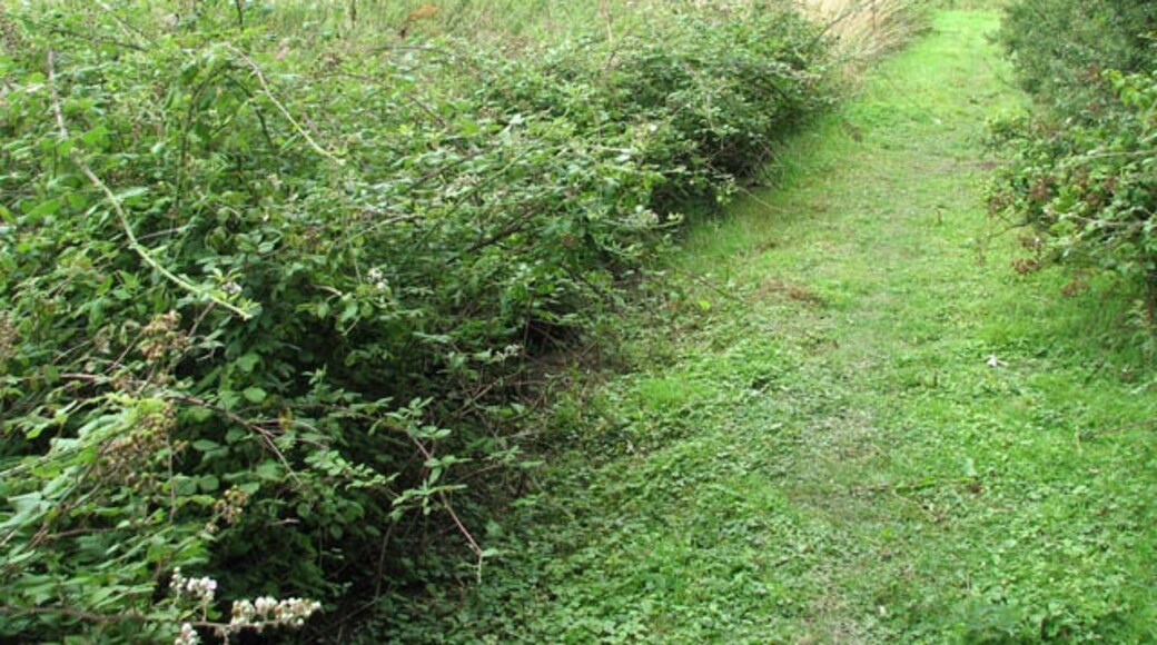 Foto „Alpington“ von Evelyn Simak (CC BY-SA)/zugeschnittenes Original