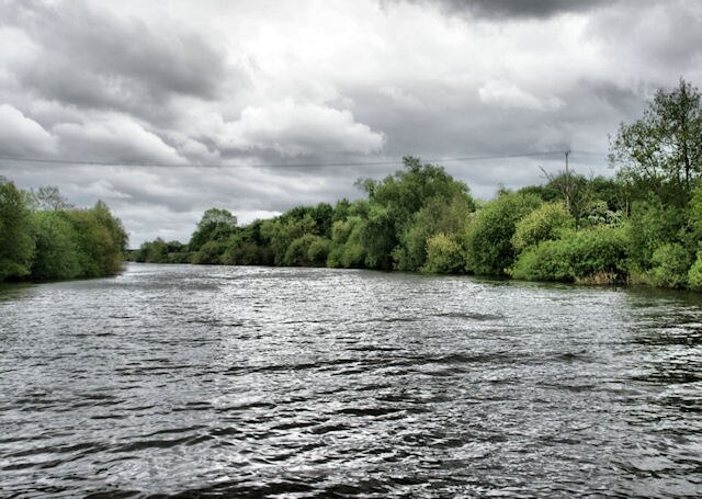 Ảnh "Holdfast" của Pierre Terre (CC BY-SA) / Cắt từ ảnh gốc