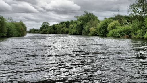 Ảnh "Holdfast" của Pierre Terre (CC BY-SA) / Cắt từ ảnh gốc