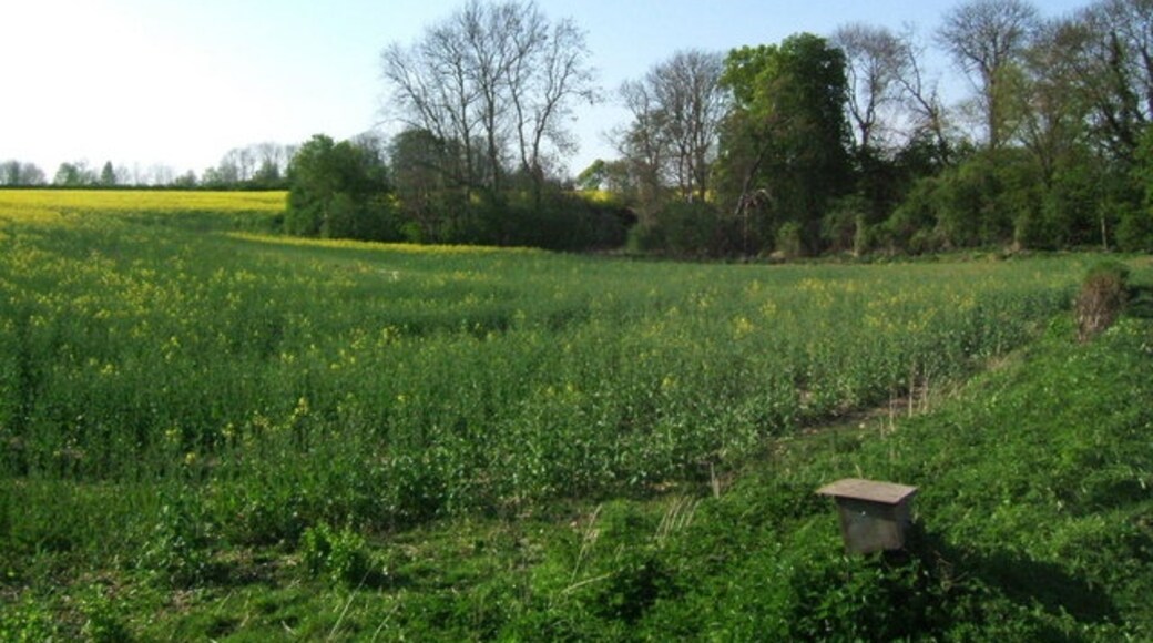 "Sacombe"-foto av Jeff Tomlinson (CC BY-SA) / Urklipp från original