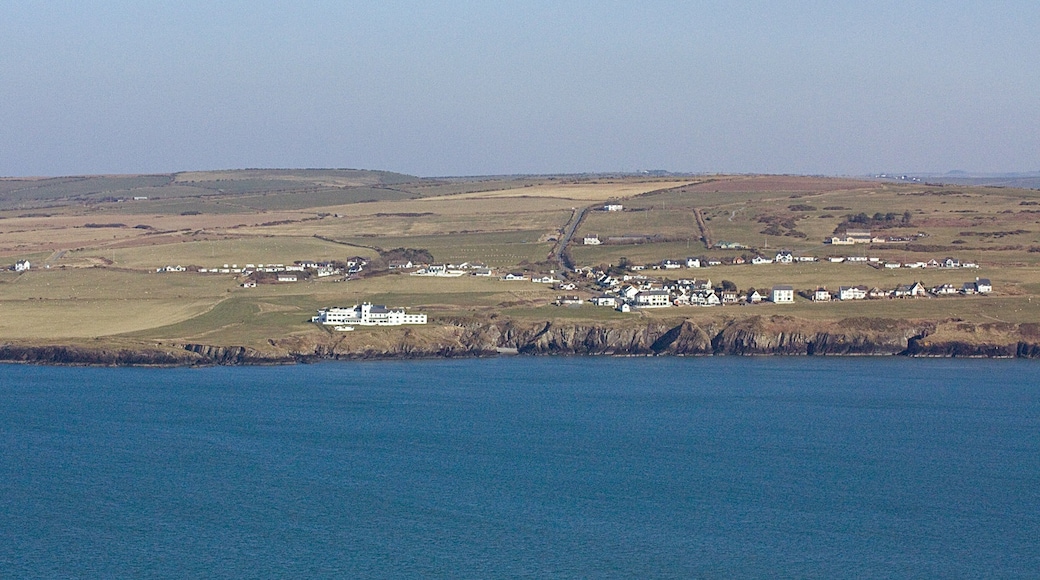 Foto "Cemaes Head Nature Reserve" por Dylan Moore (CC BY-SA) / Recortada de la original