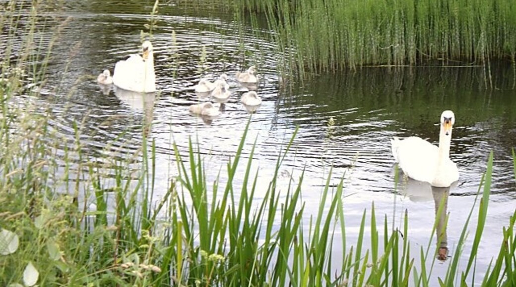 Foto „Preston Richard“ von Ian Bottomley (CC BY-SA)/zugeschnittenes Original