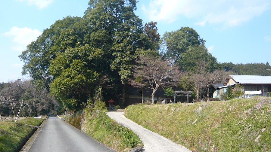 Photo "五條市霊安寺町 熊野神社 Kumano-jinja, Ryōanji-chō 2011.3.31" by Nankou Oronain (as36… (Creative Commons Attribution-Share Alike 3.0) / Cropped from original