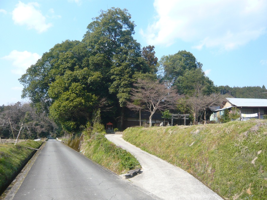 五條市霊安寺町 熊野神社 Kumano-jinja, Ryōanji-chō 2011.3.31