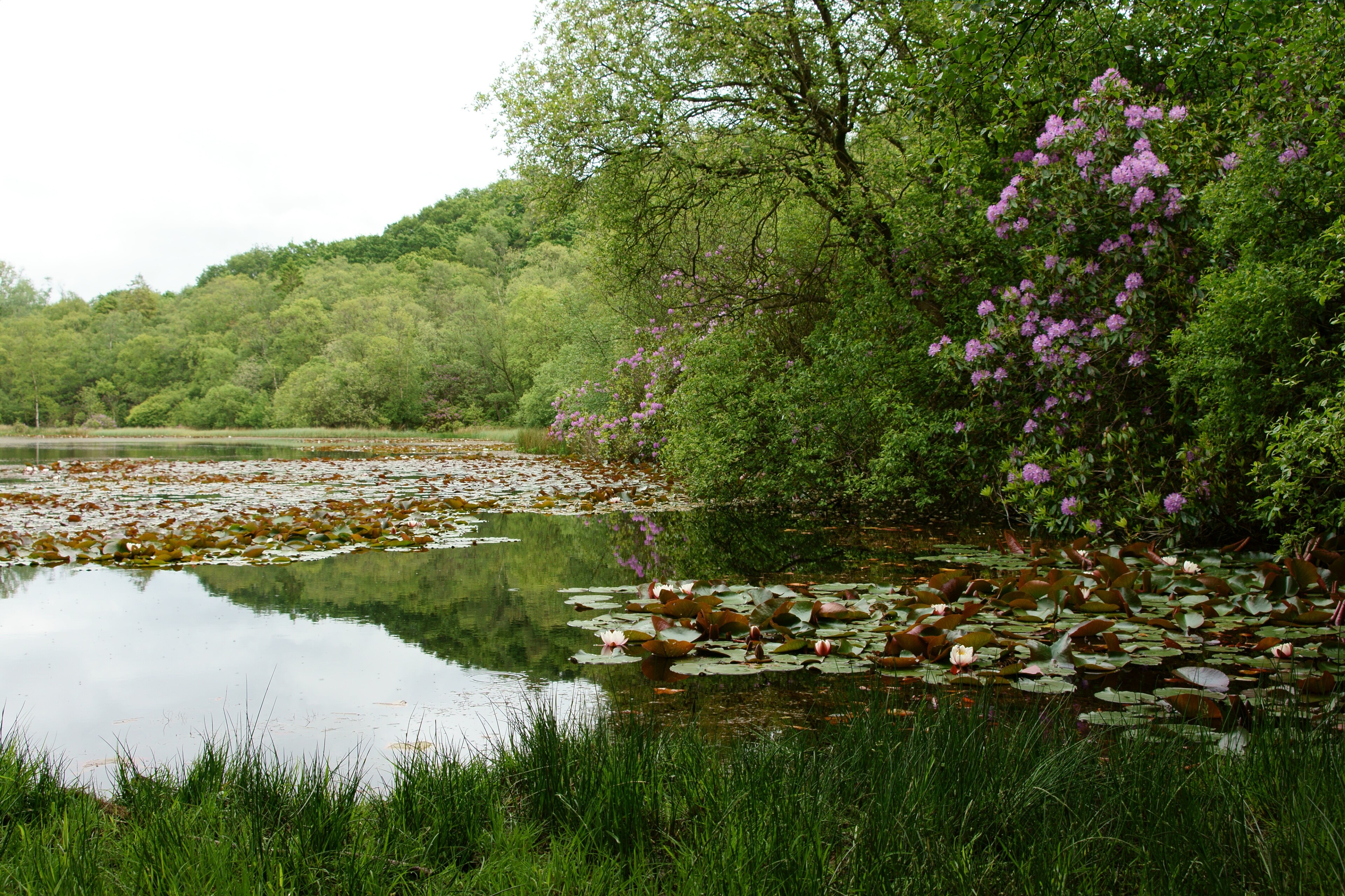 Billede "Irton with Santon" af Peter Trimming (CC BY-SA) / beskåret fra det originale billede