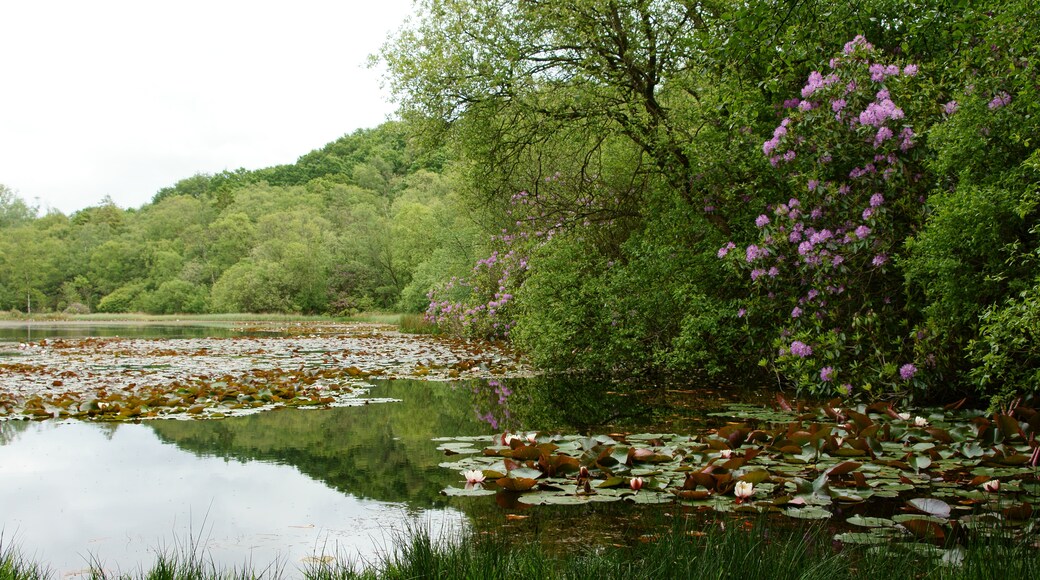 Foto “Irton with Santon” tomada por Peter Trimming (CC BY-SA); recorte de la original