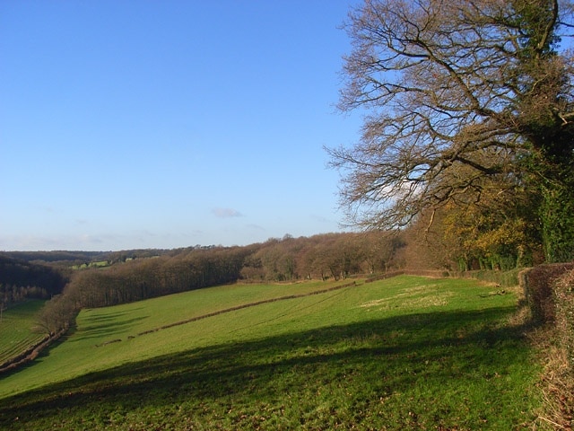 Billede "Chartridge" af Andrew Smith (CC BY-SA) / beskåret fra det originale billede