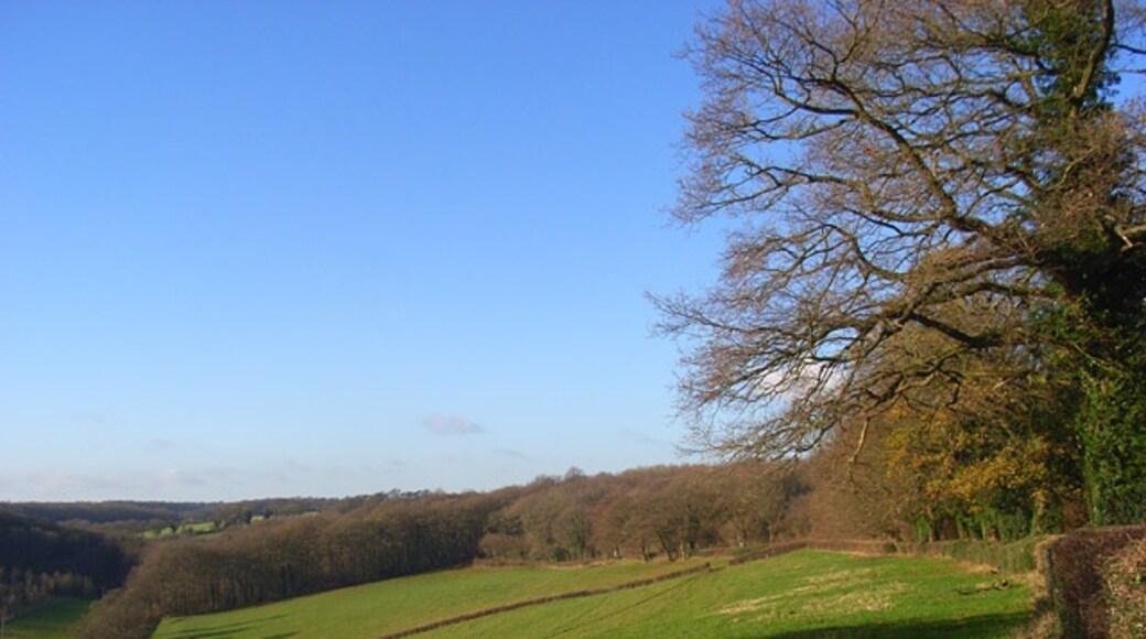 Billede "Chartridge" af Andrew Smith (CC BY-SA) / beskåret fra det originale billede