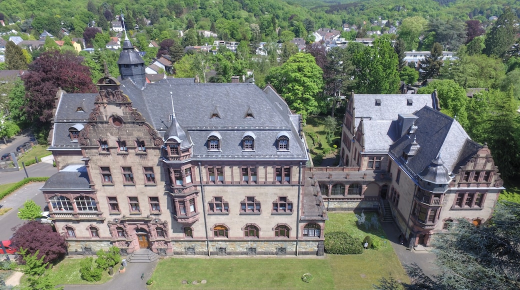 Photo "Bad Honnef" by Birds-eye (CC BY-SA) / Cropped from original