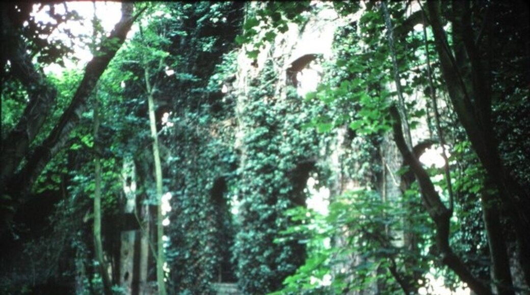 Photo "West Farleigh" by Michael Roots (CC BY-SA) / Cropped from original