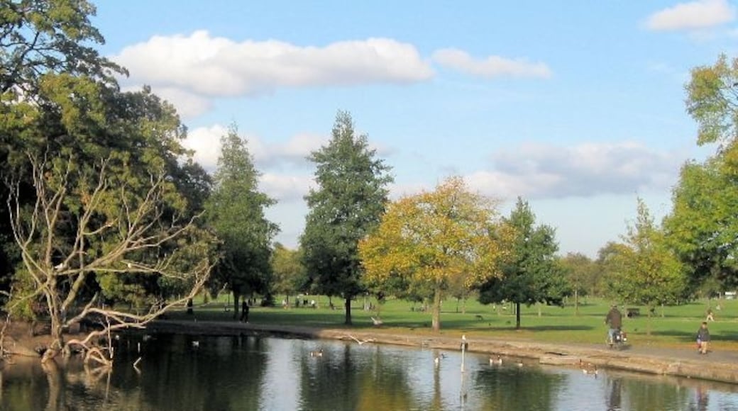 Foto "Clapham Common" oleh Chris Reynolds (CC BY-SA) / Dipotong dari foto asli