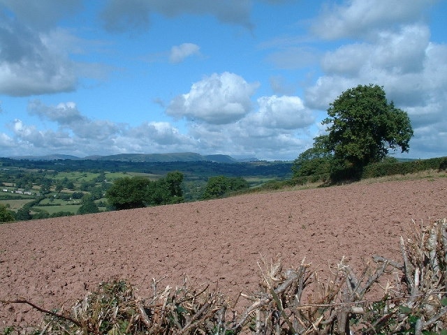 Below the White Castle. View towards the Black Mountains from Offa's Dyke LDFP