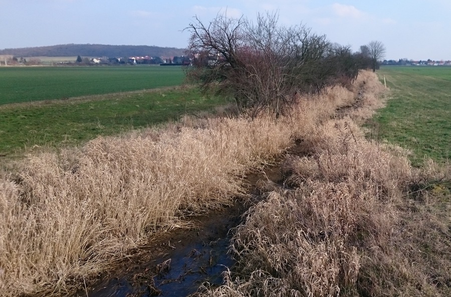 Der Gladegraben östlich der Staatsstraße S 49
