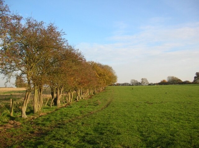 Foto “Holtby” tomada por DS Pugh (CC BY-SA); recorte de la original