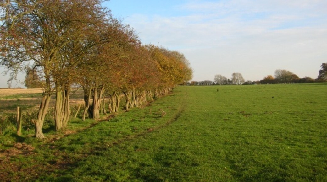 Foto “Holtby” tomada por DS Pugh (CC BY-SA); recorte de la original