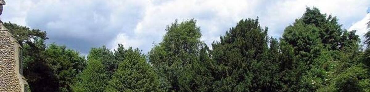 Photo "All Saints, Wreningham, Norfolk - Churchyard" by John Salmon (Creative Commons Attribution-Share Alike 2.0) / Cropped from original