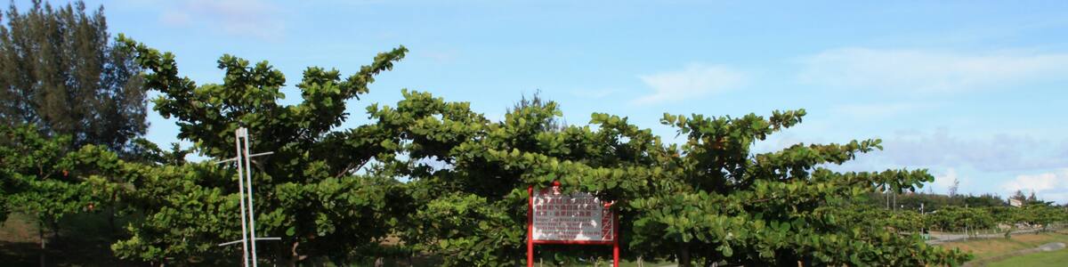 Photo "Taitung County Taitung City Artificial lake in Taitung City" by Lord Koxinga (Creative Commons Attribution-Share Alike 3.0) / Cropped from original