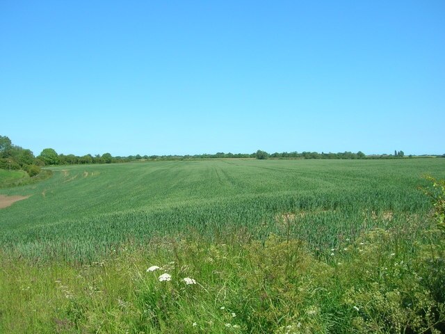 Foto “North Frodingham” tomada por JThomas (CC BY-SA); recorte de la original