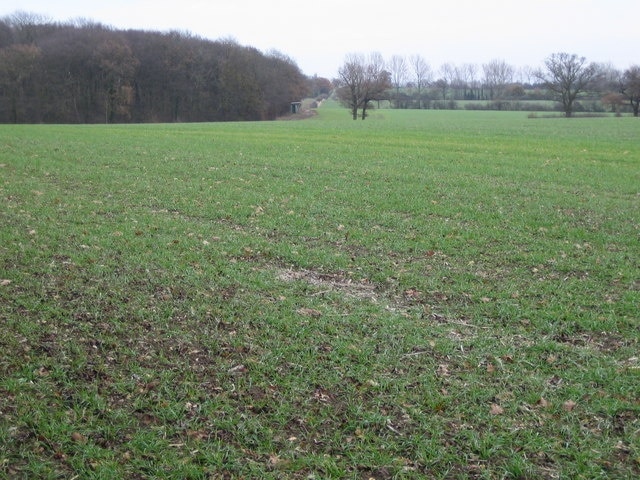 "Standon"-foto av Nigel Cox (CC BY-SA) / Urklipp från original