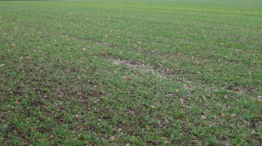 "Standon"-foto av Nigel Cox (CC BY-SA) / Urklipp från original