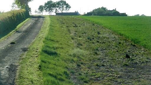 Billede "Honeybourne" af David Luther Thomas (CC BY-SA) / beskåret fra det originale billede