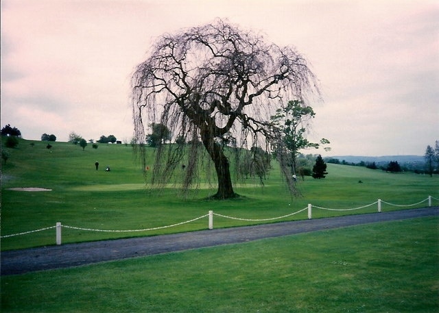 Ralston Golf Club Fairway view of links