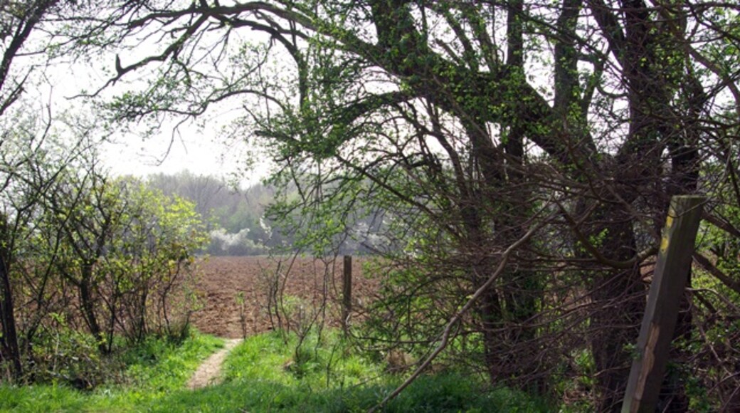 Kuva ”Leaden Roding” käyttäjältä Robin Webster (CC BY-SA) / rajattu alkuperäisestä kuvasta