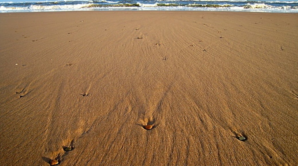照片“巴尔梅迪海滩” 拍摄者：Martyn Gorman（CC BY-SA）原片经过裁剪