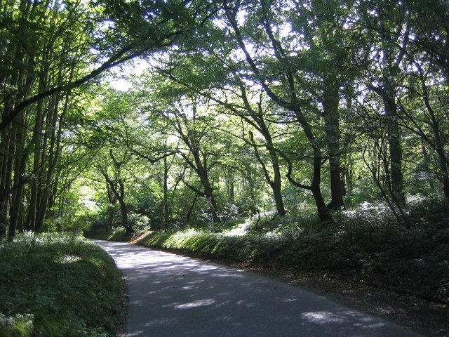 Kuva ”Langley” käyttäjältä Nigel Cox (CC BY-SA) / rajattu alkuperäisestä kuvasta