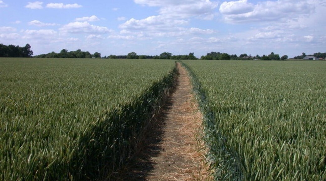 "Longstowe"-foto av Keith Edkins (CC BY-SA) / Urklipp från original