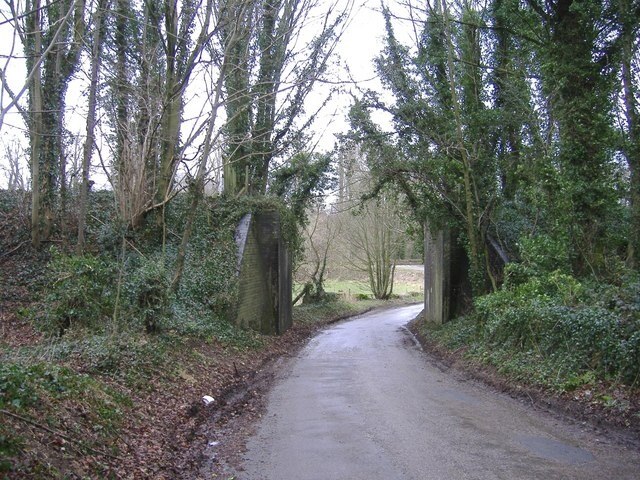 Photo "Ashley" by Roger Cornfoot (CC BY-SA) / Cropped from original