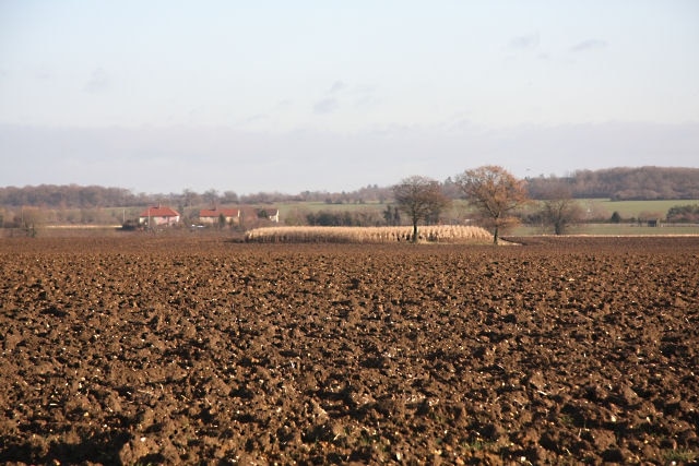 Billede "Thorpe Morieux" af Bob Jones (CC BY-SA) / beskåret fra det originale billede