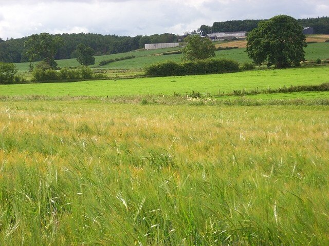 "Cliburn"-foto av Andrew Smith (CC BY-SA) / Urklipp från original