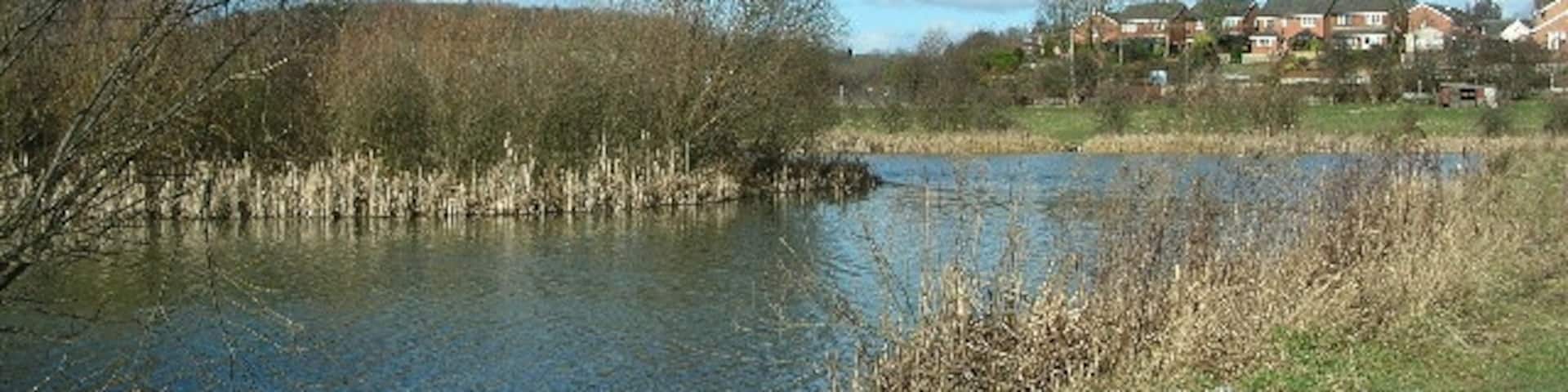 Fishing Ponds off Brigshaw Lane, Kippax