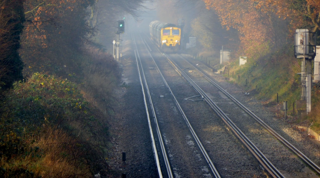 Foto "Longlands" oleh Train Photos (CC BY-SA) / Dipotong dari foto asli