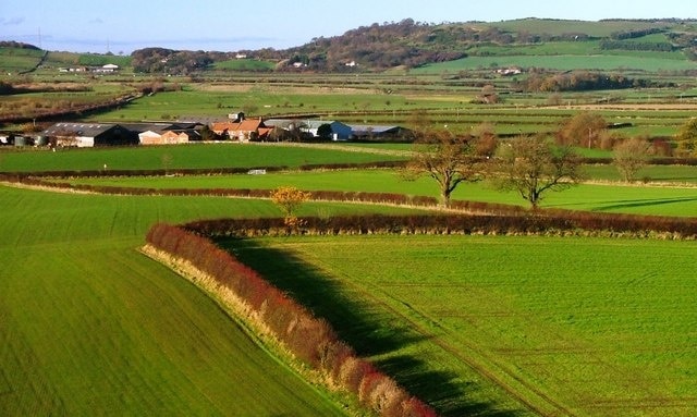 Whitegate Farm From Newton Woods