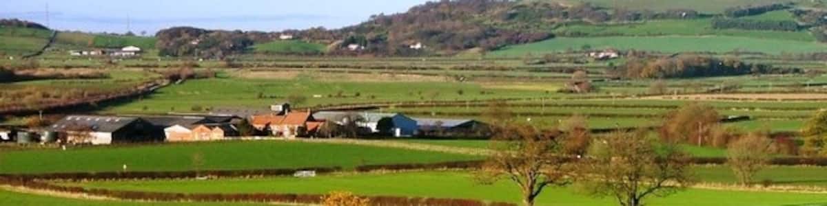 Photo "Whitegate Farm From Newton Woods" by Mick Garratt (Creative Commons Attribution-Share Alike 2.0) / Cropped from original