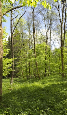 This is a picture of the protected area listed at WDPA under the ID