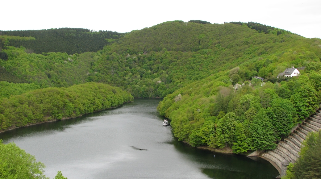 Foto “Parque Nacional Eifel” tomada por ACBahn (CC BY-SA); recorte de la original