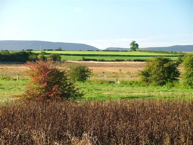 Photo "Seamer" by Mick Garratt (CC BY-SA) / Cropped from original