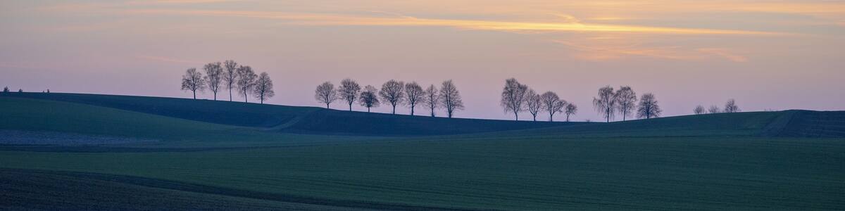 Photo "Bonfeld (Ortsteil von Bad Rappenau): Landschaft mit Baumreihe nördlich des Dorfes, von Osten von der Straße nach Bad Rappenau (K 2120) aus gesehen, im letzten Licht eines Märzabends." by Aristeas (Creative Commons Attribution-Share Alike 4.0) / Cropped from original